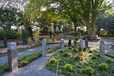 Rommerskirchen Teebaum Gesamt2