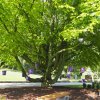 Memoriam-Garten Mönchengladbach Rheydt-Preyer Straße